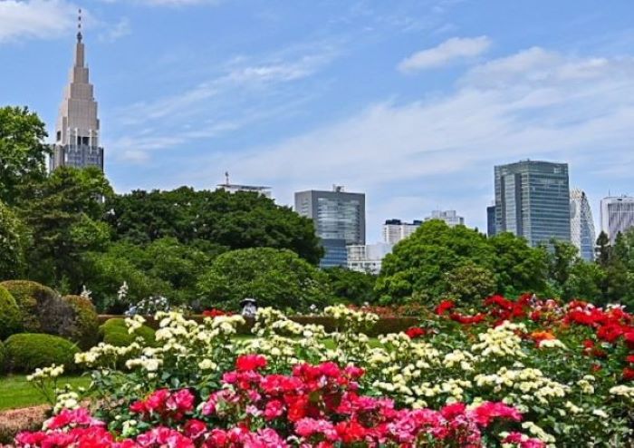 도쿄 신주쿠 교엔 볼거리, 입장료, 스타벅스, 티켓, 언어의 정원 장소
