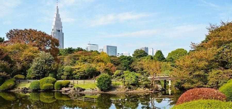 도쿄 신주쿠 교엔 볼거리, 입장료, 스타벅스, 티켓, 언어의 정원 장소 총 정리