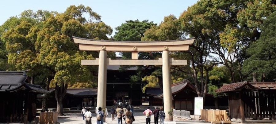 일본 도쿄 여행지 및 숙소 위치 추천 메이지 신궁