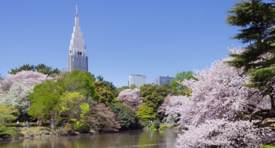 일본 도쿄 여행지 및 숙소 위치 추천 신주쿠 쿄엔