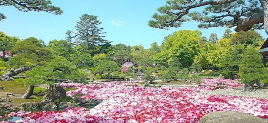 유시엔 정원