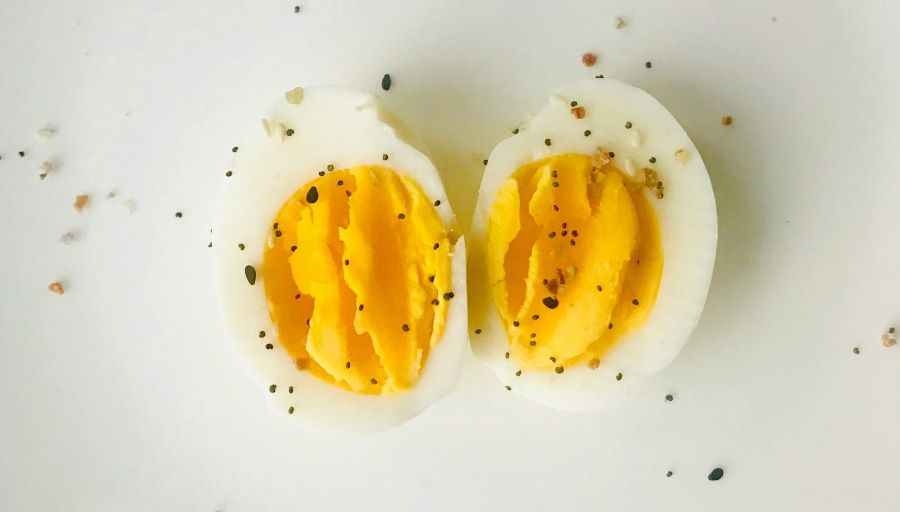 003.단백질 함량이 많은 음식 계란